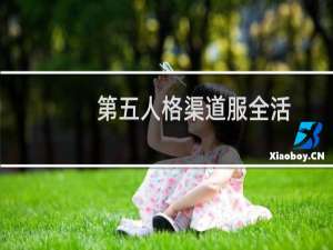第五人格渠道服全活