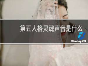第五人格灵魂声音是什么