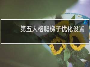 第五人格爬梯子优化设置