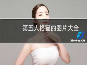第五人格猫的图片大全
