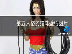 第五人格的猫咪壁纸图片