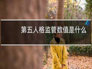 第五人格监管数值是什么