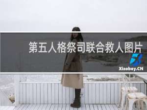 第五人格祭司联合救人图片