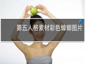 第五人格素材彩色蟑螂图片