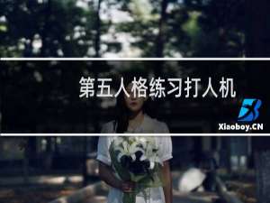 第五人格练习打人机