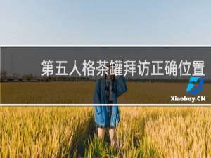 第五人格茶罐拜访正确位置