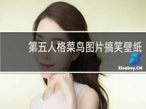 第五人格菜鸟图片搞笑壁纸