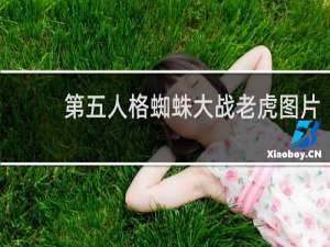 第五人格蜘蛛大战老虎图片