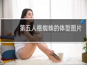 第五人格蜘蛛的体型图片