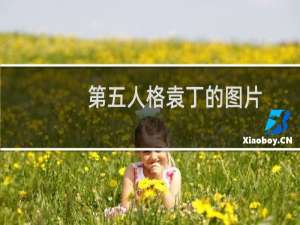 第五人格袁丁的图片