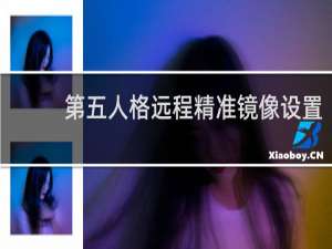 第五人格远程精准镜像设置