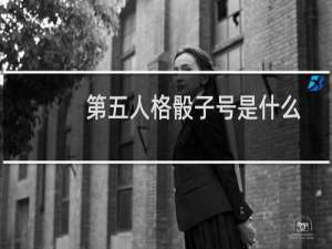 第五人格骰子号是什么