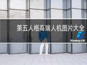 第五人格高端人机图片大全