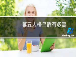 第五人格鸟盾有多高