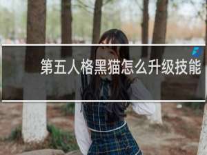 第五人格黑猫怎么升级技能