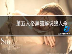 第五人格黑猫解说狼人杀