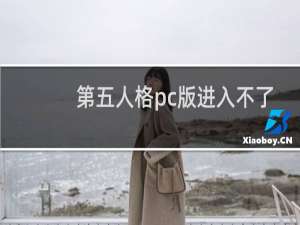 第五人格pc版进入不了
