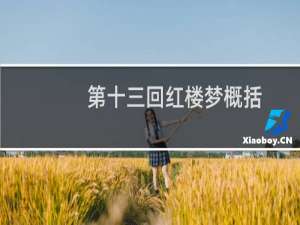 第十三回红楼梦概括
