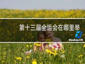 第十三届全运会在哪里举办的