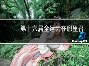 第十六届全运会在哪里召开