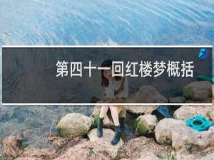 第四十一回红楼梦概括