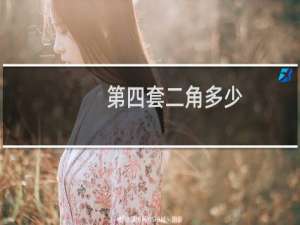 第四套二角多少
