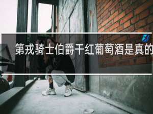 第戎骑士伯爵干红葡萄酒是真的吗