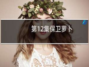 第12集保卫萝卜
