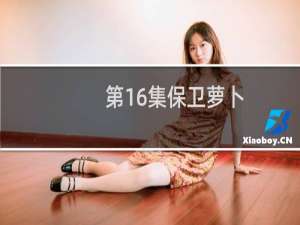 第16集保卫萝卜
