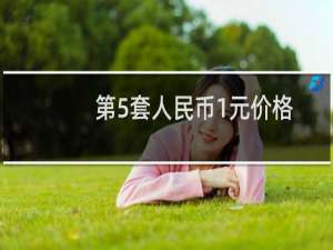 第5套人民币1元价格