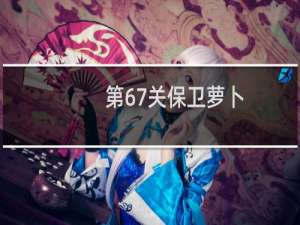 第67关保卫萝卜