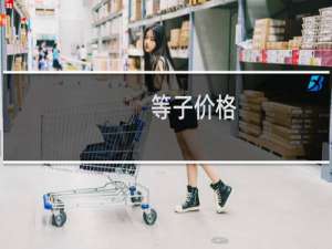 等子价格