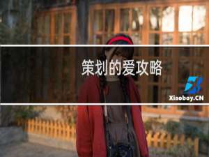 策划的爱攻略