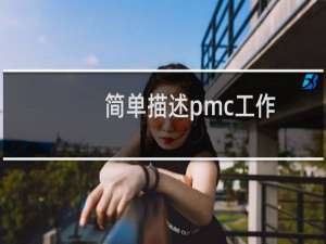 简单描述pmc工作