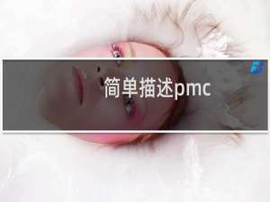 简单描述pmc