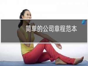 简单的公司章程范本