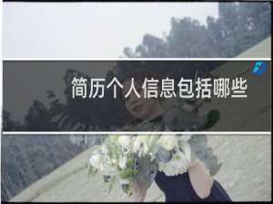 简历个人信息包括哪些