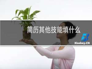 简历其他技能填什么