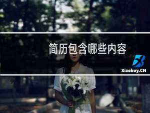 简历包含哪些内容