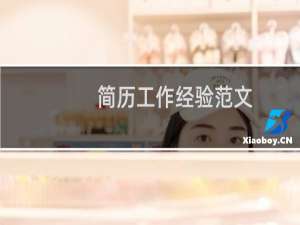 简历工作经验范文