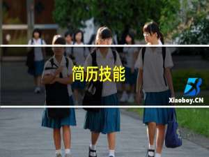 简历技能