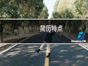 简历特点