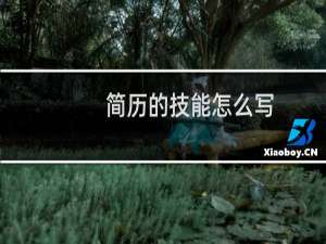 简历的技能怎么写