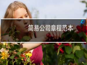 简易公司章程范本