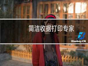 【简洁收据打印专家】免费简洁收据打印专家软件下载