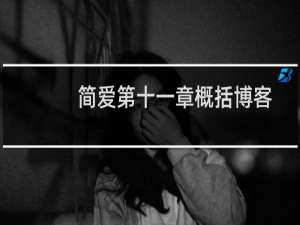 简爱第十一章概括博客
