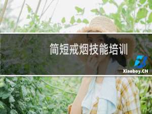 简短戒烟技能培训