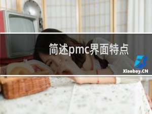 简述pmc界面特点