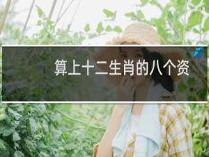 算上十二生肖的八个资助人