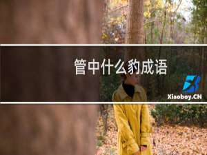 管中什么豹成语
